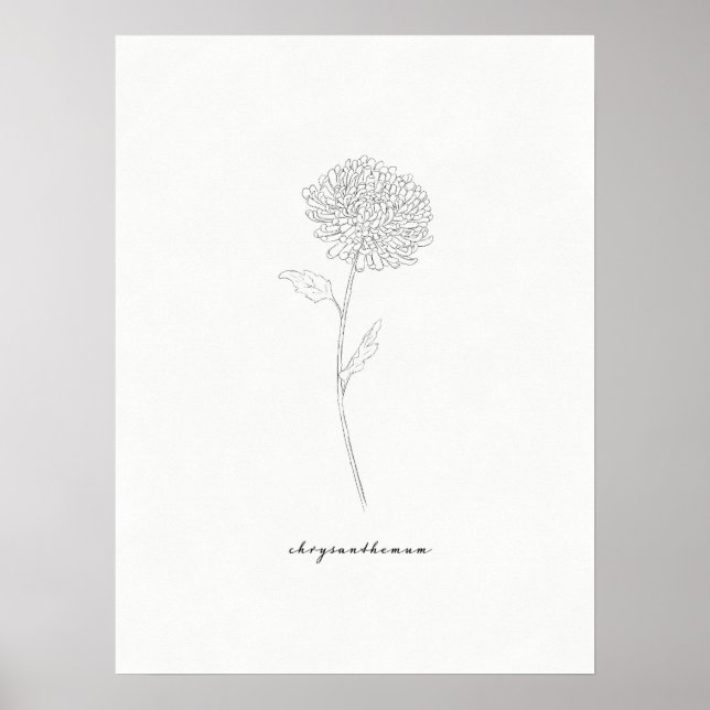 Chrysanthemum Art Print (Front)
