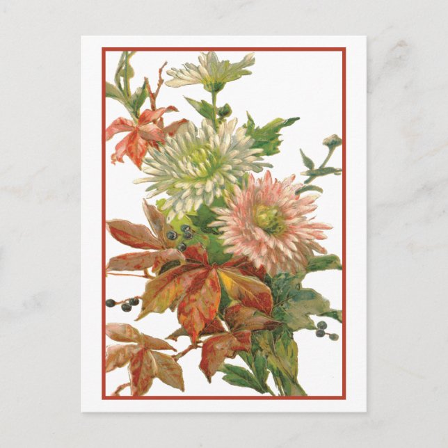 Chrysanthemum Autumn Fine Art Postcard (Front)