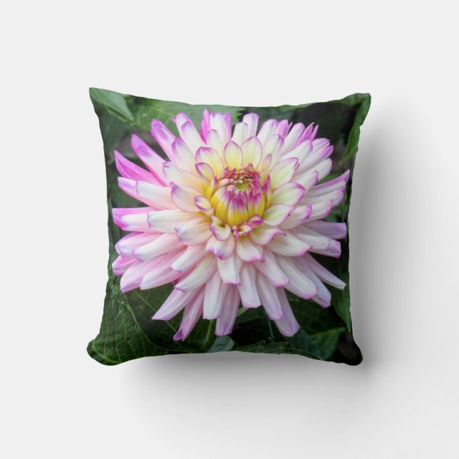 Chrysanthemum, Bute Park, Cardiff, Wales Cushion (Front)