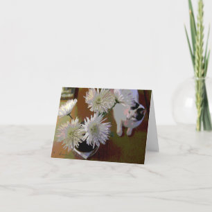 chrysanthemum cat happiness note card