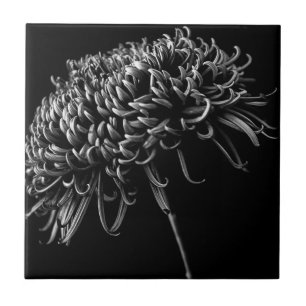 Chrysanthemum Ceramic Tile