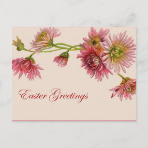Chrysanthemum Easter Greetings - Postcard