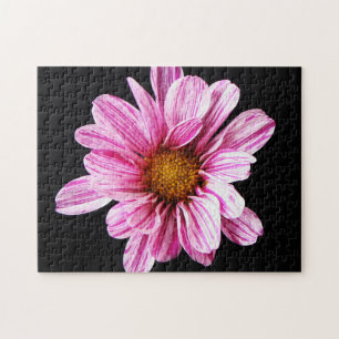 Chrysanthemum Flower 11x14 252pc jpcna Jigsaw Puzzle