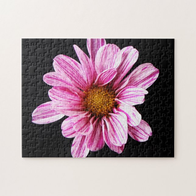 Chrysanthemum Flower 11x14 252pc jpcnm Jigsaw Puzzle (Horizontal)