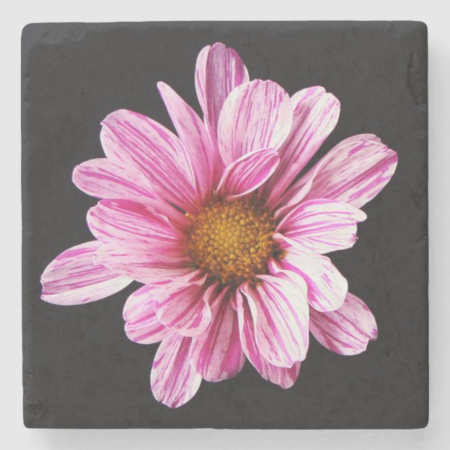 Chrysanthemum Flower coastercna Stone Coaster (Front)