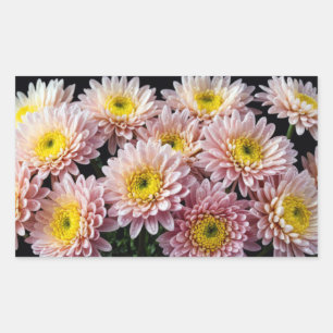 Chrysanthemum Flower Colourful Blossom Decoration  Rectangular Sticker