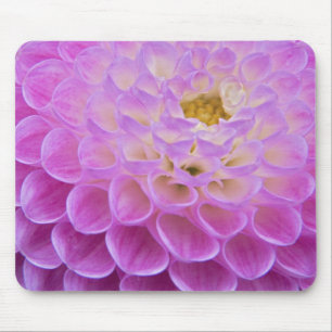 Chrysanthemum flower decorating grave site in mouse pad