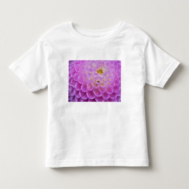 Chrysanthemum flower decorating grave site in toddler T-Shirt (Front)