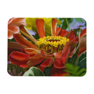 Chrysanthemum flower magnet