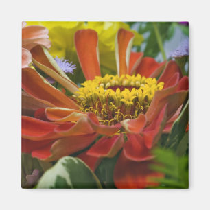 Chrysanthemum flower magnet