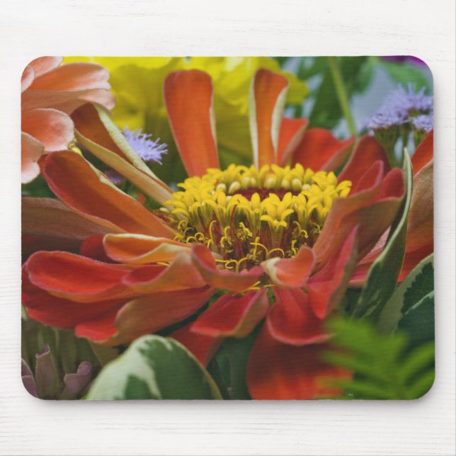 Chrysanthemum flower mouse pad (Front)
