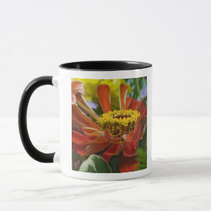 Chrysanthemum flower mug