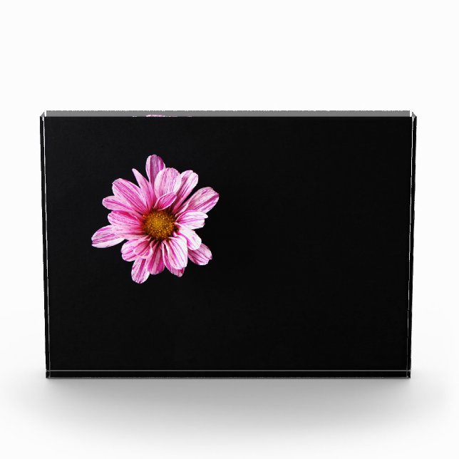 Chrysanthemum Flower pbcna Photo Block (Front)