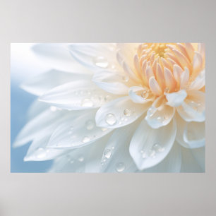 Chrysanthemum Flower Petal Nature Serene Poster