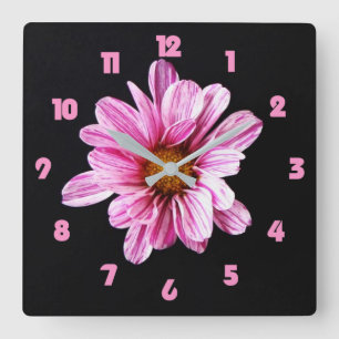 Chrysanthemum Flower Pink Fat Numbers wccn Square Wall Clock