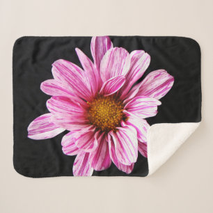 Chrysanthemum Flower sbcna Sherpa Blanket
