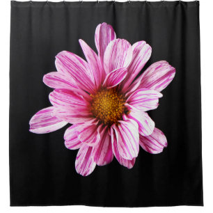 Chrysanthemum Flower sccn Shower Curtain