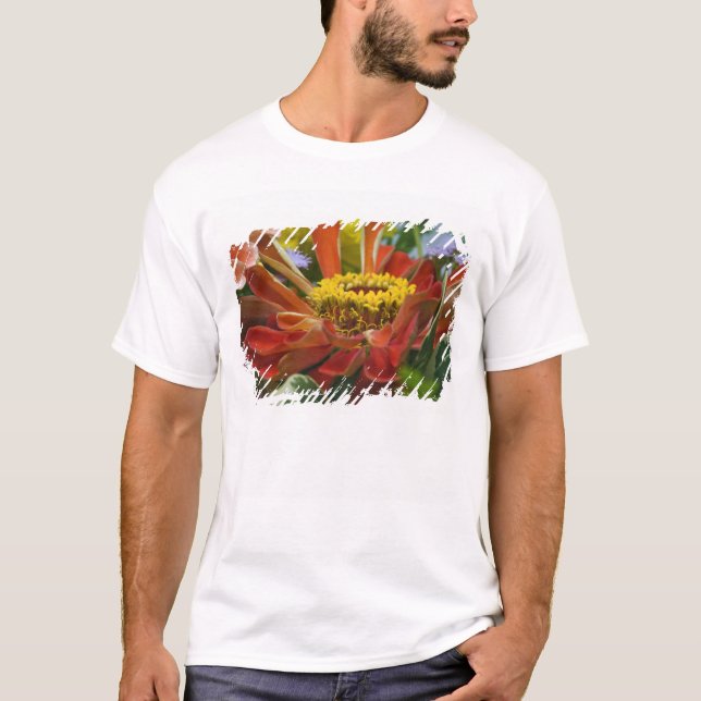 Chrysanthemum flower T-Shirt (Front)
