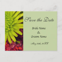 chrysanthemum flowers save the date post card.
