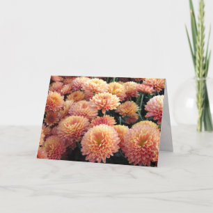 Chrysanthemum Greeting Card