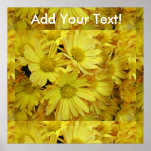 Chrysanthemum Group Plant Yellow Poster