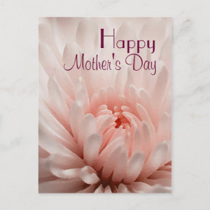 Chrysanthemum - Happy Mother's Day Customised Postcard