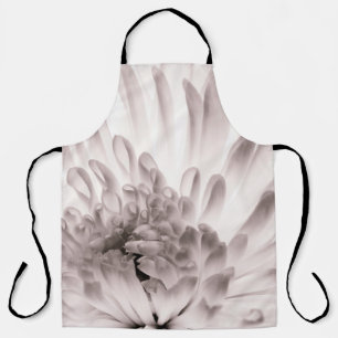 Chrysanthemum in full bloom. Close up macro of flo Apron