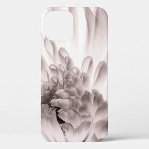 Chrysanthemum in full bloom. Close up macro of flo iPhone 12 Case