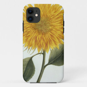 Chrysanthemum Indicum from 'Pythanthoza Iconograph iPhone 11 Case