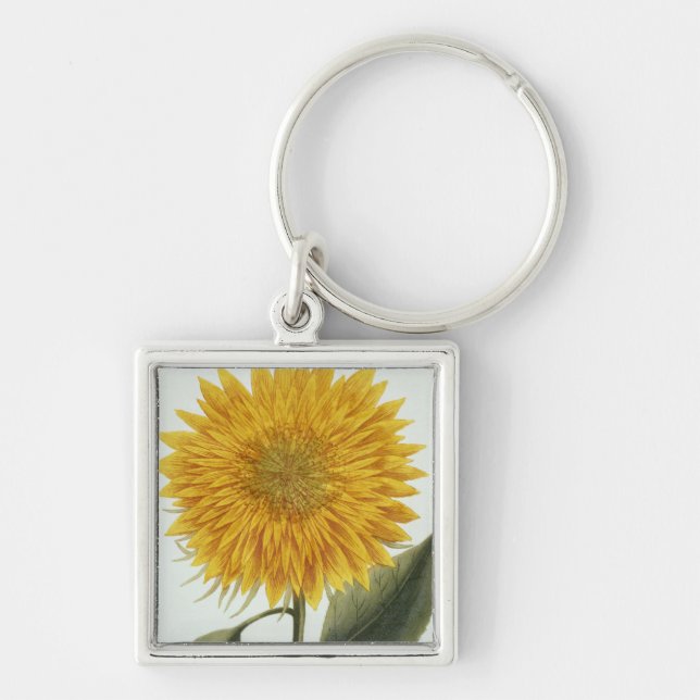 Chrysanthemum Indicum from 'Pythanthoza Iconograph Key Ring (Front)