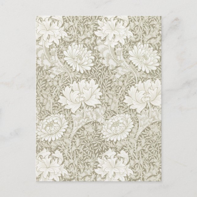 Chrysanthemum Ivory, William Morris Postcard (Front)