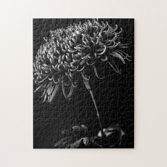 Chrysanthemum Jigsaw Puzzle (Vertical)