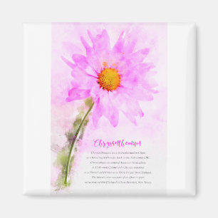 Chrysanthemum Magnet