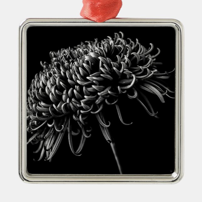 Chrysanthemum Metal Ornament (Front)