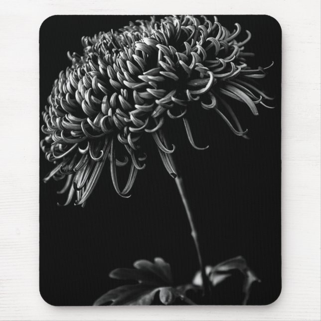 Chrysanthemum Mouse Pad (Front)