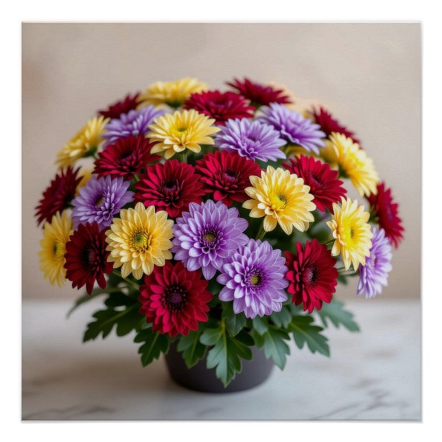 Chrysanthemum Poster (Front)