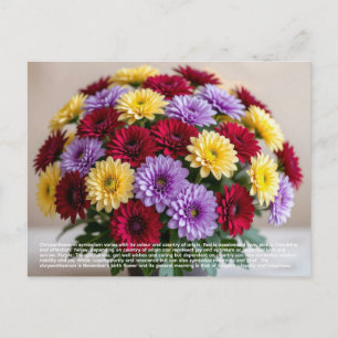 Chrysanthemum Symbolism Postcard