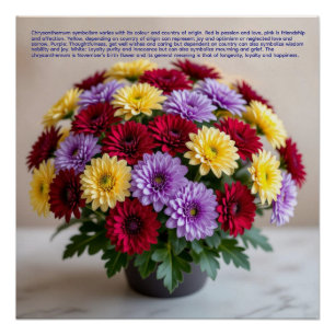 Chrysanthemum Symbolism Poster