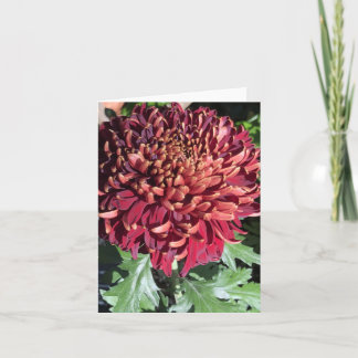 Chrysanthemum Thank You Card
