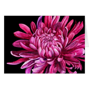 Chrysanthemum "the opening" everyday card