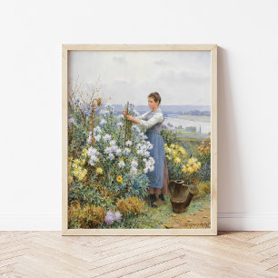 Chrysanthemums Daniel Ridgway Knight Poster