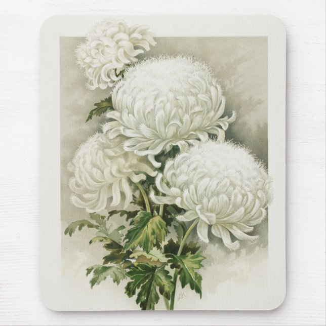 Chrysanthemums – Elegant Vintage Botanical Mouse Pad (Front)