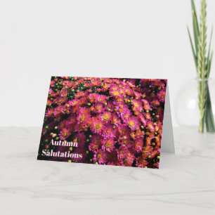 Chrysanthemums / Magenta / Autumn Salutations Card