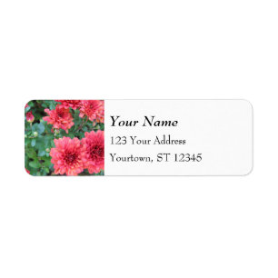 Chrysanthemums Return Address Label