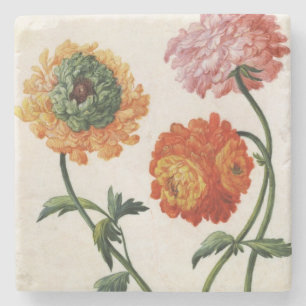 Chrysanthemums (w/c on paper) stone coaster