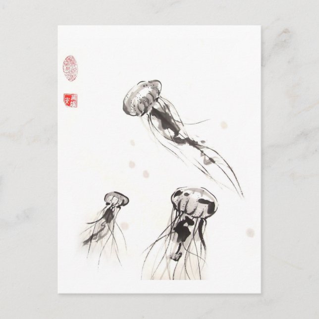 Chrysaora Jellyfish Postcard (Front)