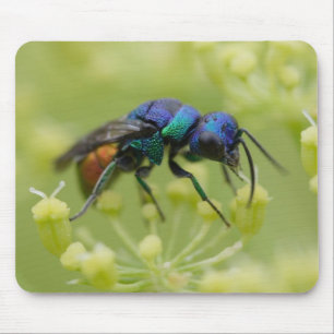 Chrysis austriaca mouse pad