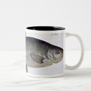 Chub (Cyprinus Jeses) plate VI from 'Ichthyologie, Two-Tone Coffee Mug