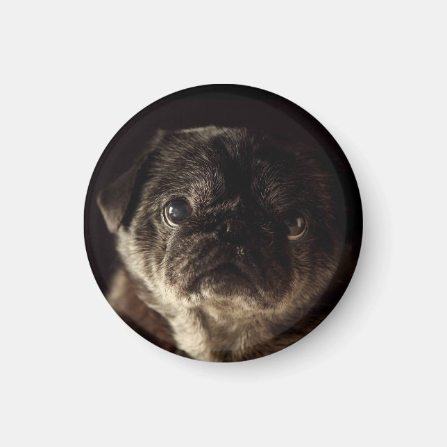 Chubbs The Wampug Black on Black Magnet (Front)