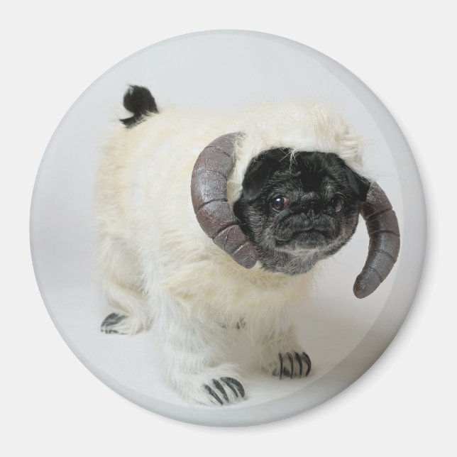 Chubbs The Wampug Magnet (Front)